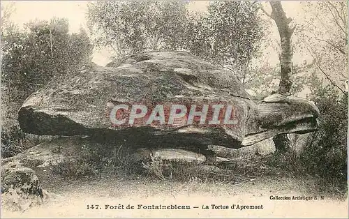 Ansichtskarte AK Foret de Fontainebleau La Tortue d'Apremont