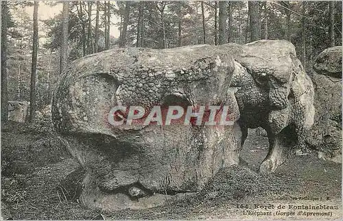 Ansichtskarte AK Foret de Fontainebleau L'Elephant (Gorges d'Apremont)