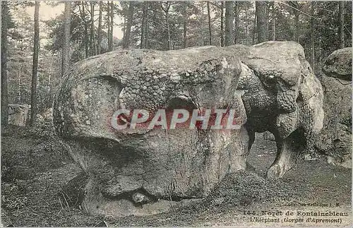 Cartes postales Foret de Fontainebleau L'Elephant (Gorges d'Apremont)
