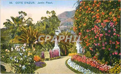 Ansichtskarte AK Cote d'Azur Jardin Fleuri