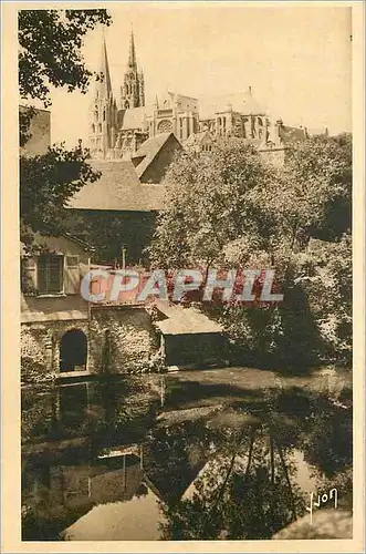 Ansichtskarte AK Chartres (Eure et Loir) Les Rives de l'Eure et la Cathedrale