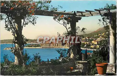 Cartes postales moderne Menton La Cote d'Azur Vue prise entre les Pergoles