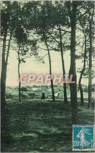 Cartes postales La Tranche sur Mer Vue des bois de Pins