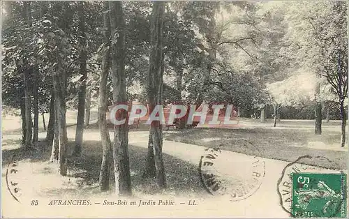 Ansichtskarte AK Avranches Sous Bois au Jardin Public