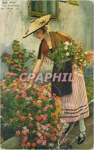 Cartes postales Nice La Cueillette des Fleurs