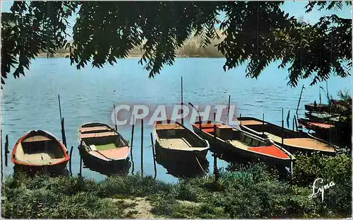 Cartes postales moderne Bords de Seine Bateaux