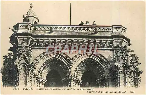 Cartes postales Paris Eglise Notre Dame Sommet de la Tour Nord