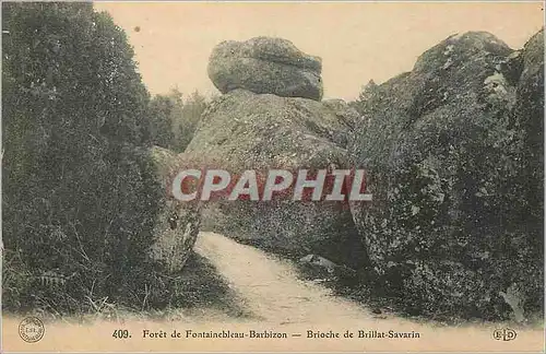 Cartes postales Foret de Fontainebleau Barbizon Brioche de Brillat Savarin
