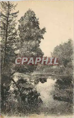 Cartes postales Foret de Fontainebleau