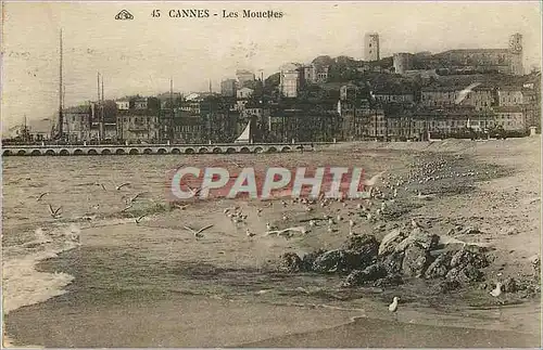 Cartes postales Cannes Les Mouettes