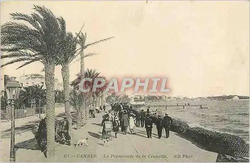 Cartes postales Cannes La Promenade de la Croisette