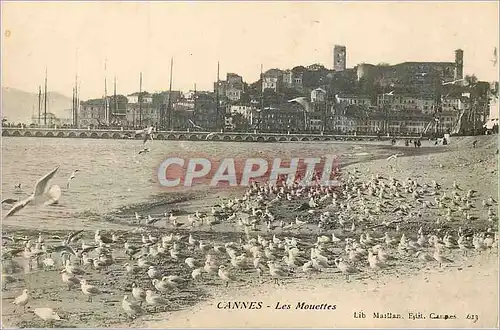 Cartes postales Cannes Les Mouettes