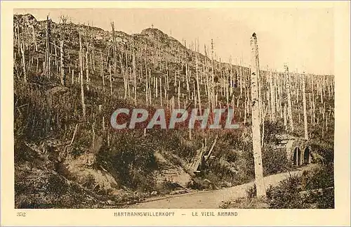 Cartes postales Harmannswillerkopf Le Vieil Armand