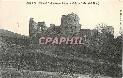 Cartes postales Chateau Renard (Loiret) Ruines du Chateau Feodal (Cote Nord)