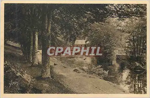 Cartes postales Pont Aven (Finistere) Bretagne La Douce france L'Aven au Bois d'Amour