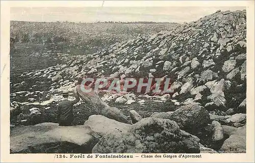 Ansichtskarte AK Foret de Fontainebleau Chaos des Gorges d Apremont