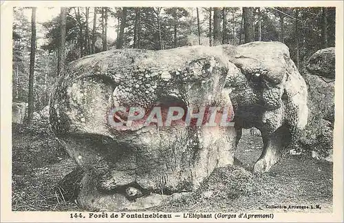 Cartes postales Foret de Fontainebleau L Elephant Gorges d Apremont