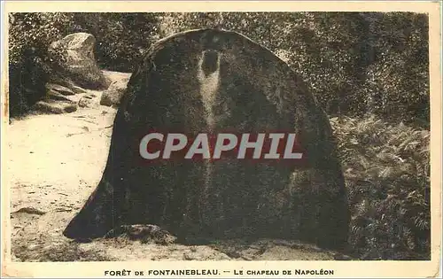 Ansichtskarte AK Foret de Fontainebleau Le Chapeau de Napoleon