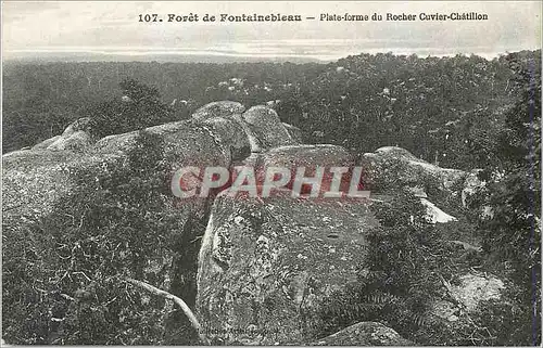 Ansichtskarte AK Foret de Fontainebleau Plate forme du Rocher Cuvier Chatillon