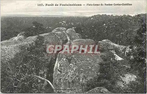 Cartes postales Foret de Fontainebleau Plate forme du Rocher Cuvier Chatillon