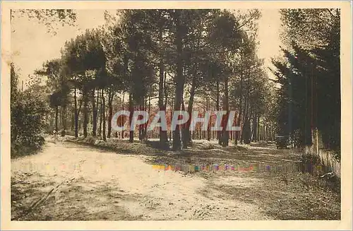 Ansichtskarte AK Le Poitou Pittoresque Sion sur l Ocean Vendee L Orce du bois Au rond point de la route de St Hil