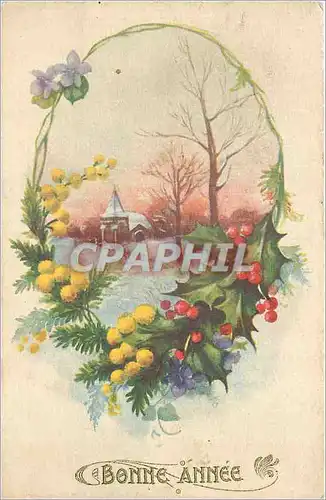 Cartes postales Bonne Annee