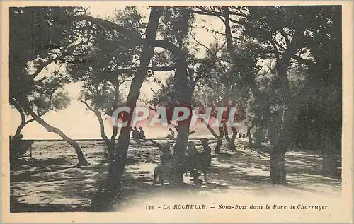 Cartes postales La Rochelle Sous Bois dans le Parc de Charruyer
