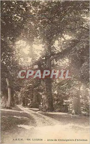 Cartes postales Lugrin Allee de Chataigniers d Alleman