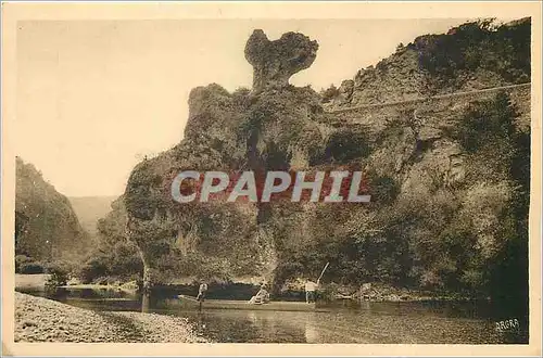 Cartes postales Gorges du Tarn Le Champignon