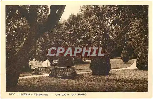 Ansichtskarte AK Luxeuil les Bains Un Coin du Parc