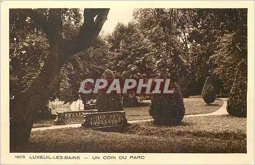 Cartes postales Luxeuil les Bains Un Coin du Parc