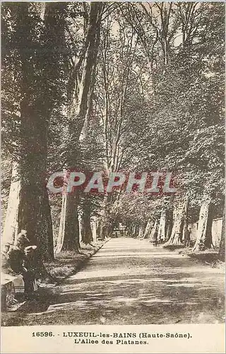 Ansichtskarte AK Luxeuil les Bains Haute Saone L Allee des Platanes