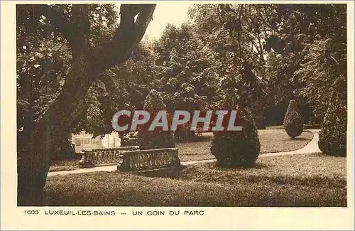 Ansichtskarte AK Luxeuil les Bains Un coin du Parc