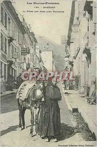 REPRO Les Hautes Pyrenees Bareges La Mere aux avec paulette Gascogne Ane Donkey