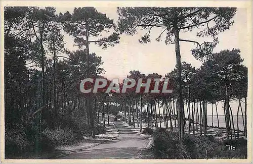 Ansichtskarte AK Bassin d Arcachon Le Moulleau Cote d Argent Route de la Corniche