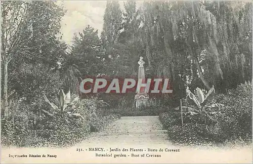 Ansichtskarte AK Nancy Jardin des Plantes Buste de Crevauz