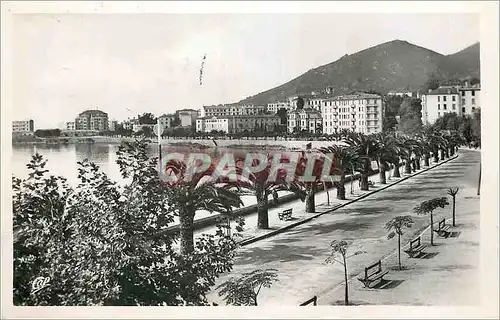 Cartes postales moderne Ajaccio Boulevard Albert