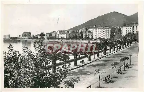 Moderne Karte Ajaccio Boulevard Albert