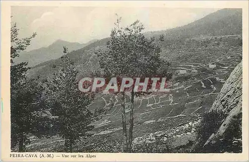 Ansichtskarte AK Peira Cava A M Vue sur les Alpes