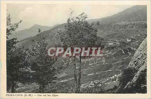 Cartes postales Peira Cava A M Vue sur les Alpes