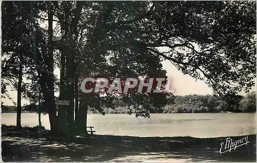 Cartes postales moderne Lorris Loiret L Etang des Bois