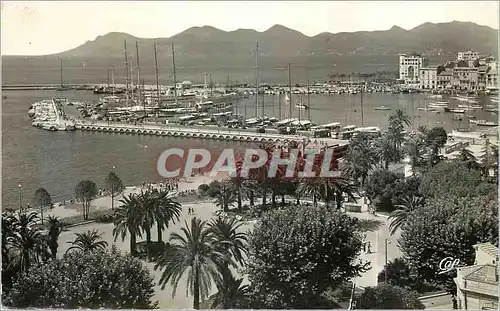 Cartes postales moderne Cannes Le Jardin Public le port et l Esteret Bateaux