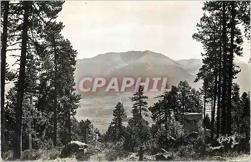Cartes postales moderne Pyrenees Orientalis La Cerdagne Francaise Le Cambre d Ase vu de la Foret entre Mont Louis et Fon