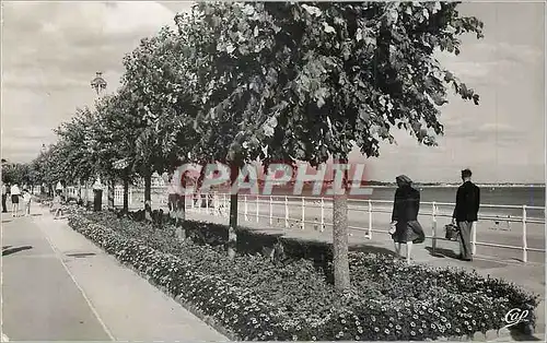 Moderne Karte La Baule Les Promendaes et la Plage