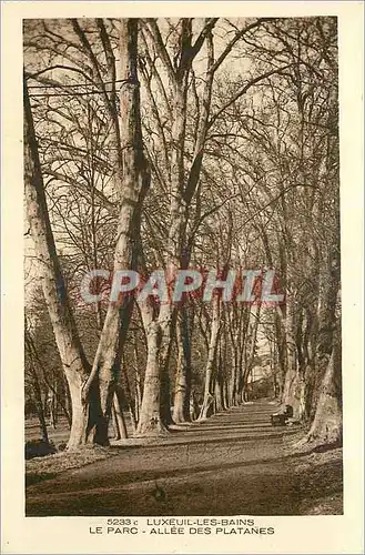 Cartes postales Luxeuil les Bains Le Parc Allee des Platanes