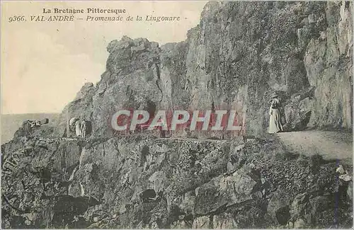 Cartes postales La Bretagne Pittoresque Val Andre Promenade de la Lingouare