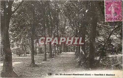 Cartes postales Saint Amand Montrond Cher Sous Bois a Montrond