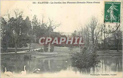 Cartes postales Nantes Le Jardin des Plantes Grande Piece d eau