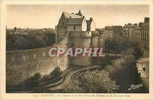 Ansichtskarte AK Nantes Les Douces et les trois du Chateau de la Duchesse Anne