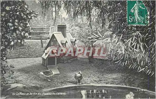 Cartes postales Le Mans Le Jardin des Plantes les Canards